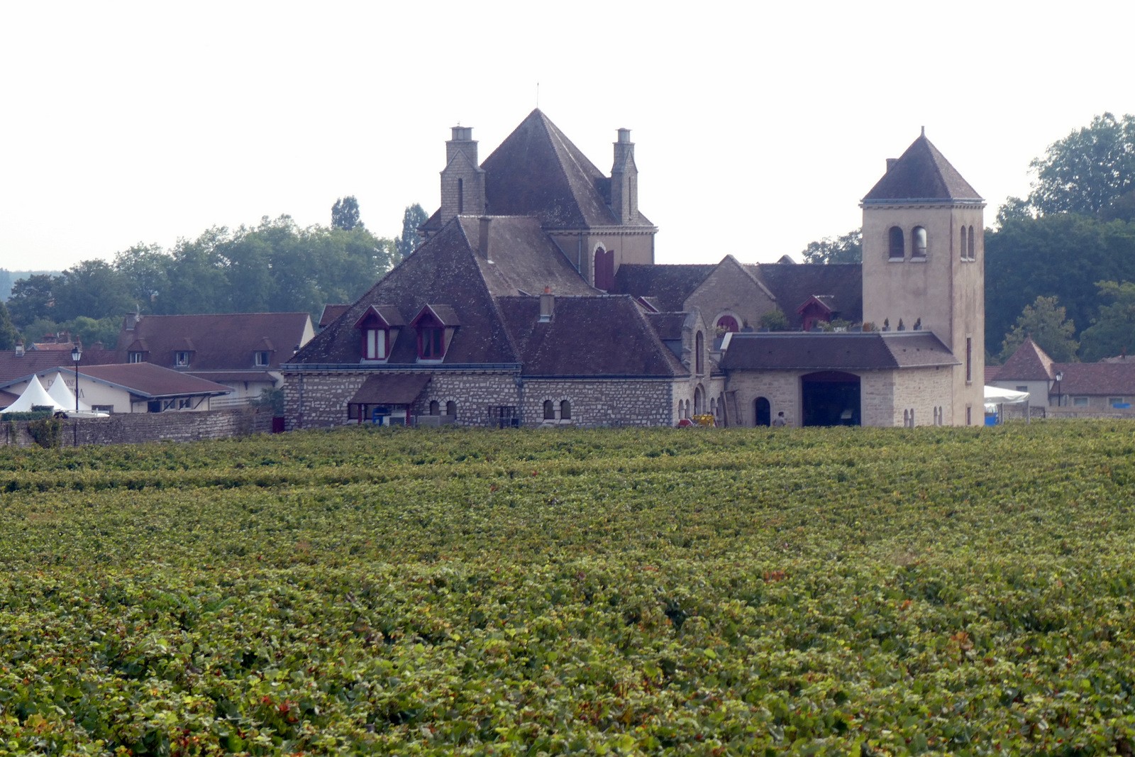 Clos vougeot 09 2021 1 