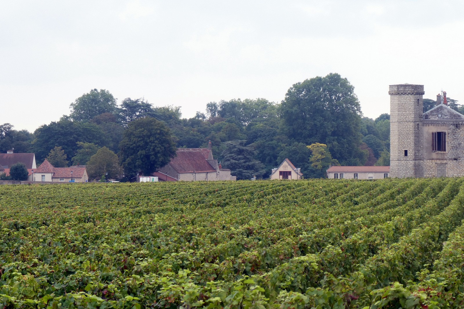 Clos vougeot 09 2021 15 