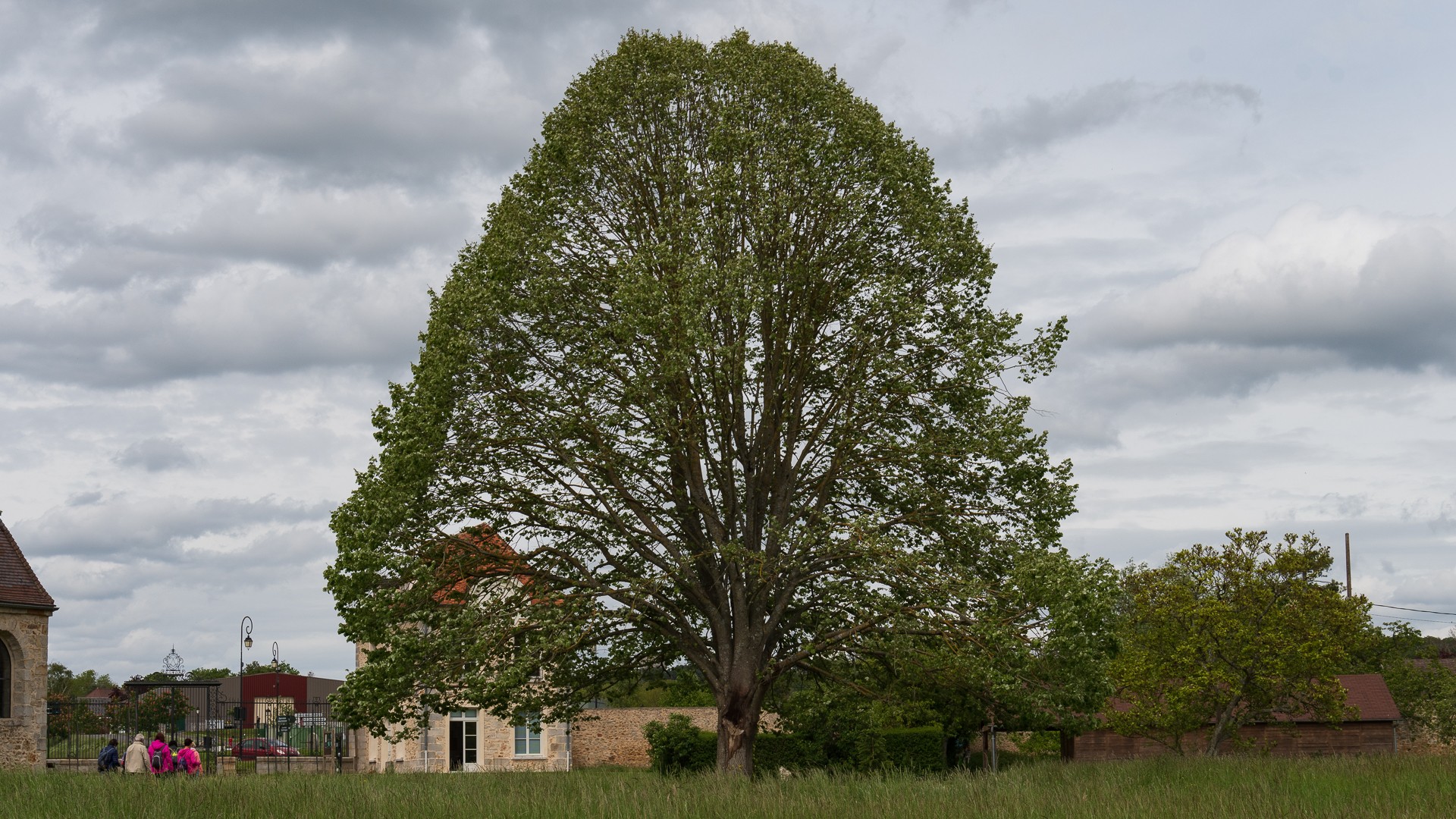 Domaine de soucy 10 