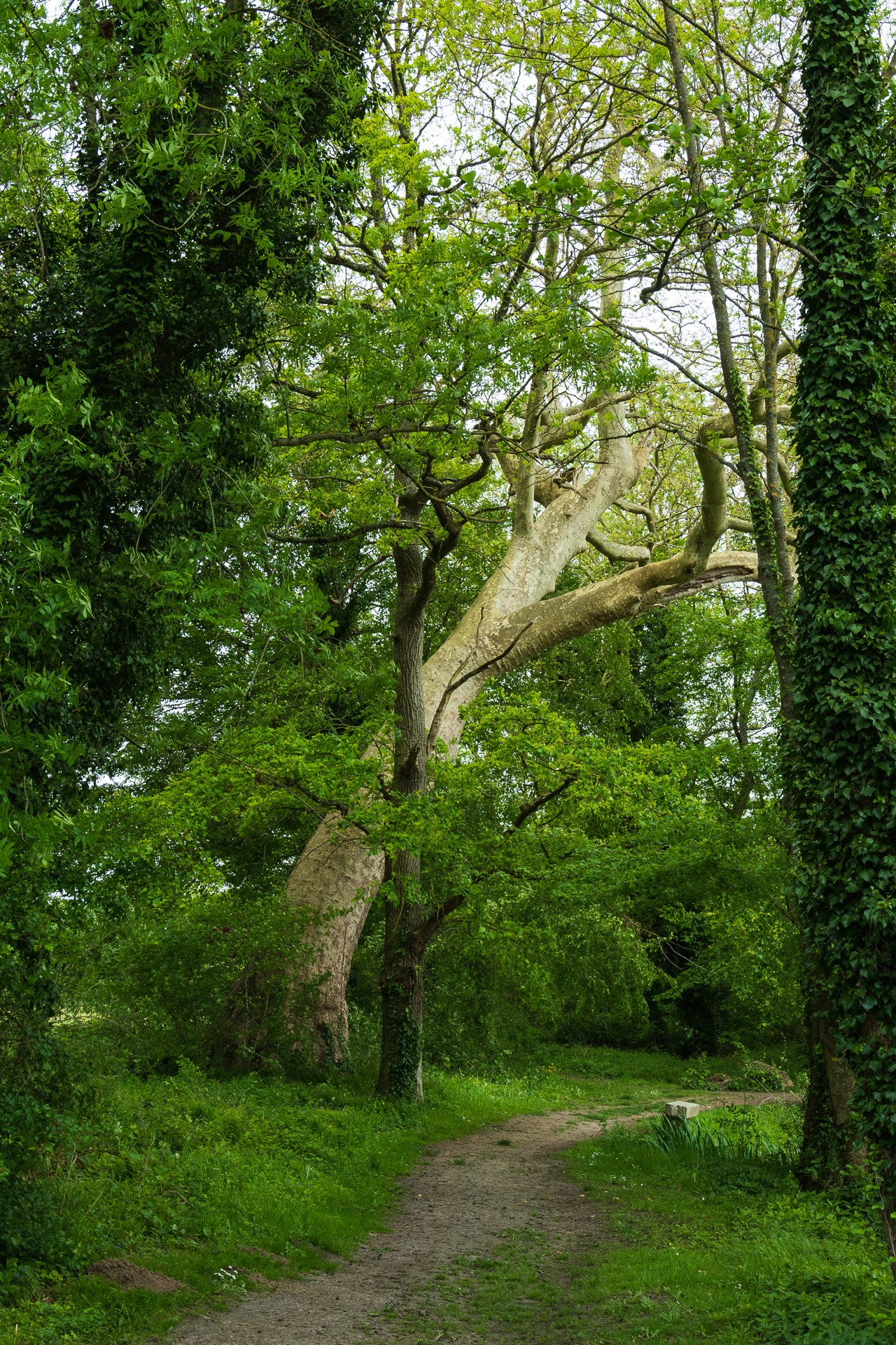 Domaine de soucy 8 