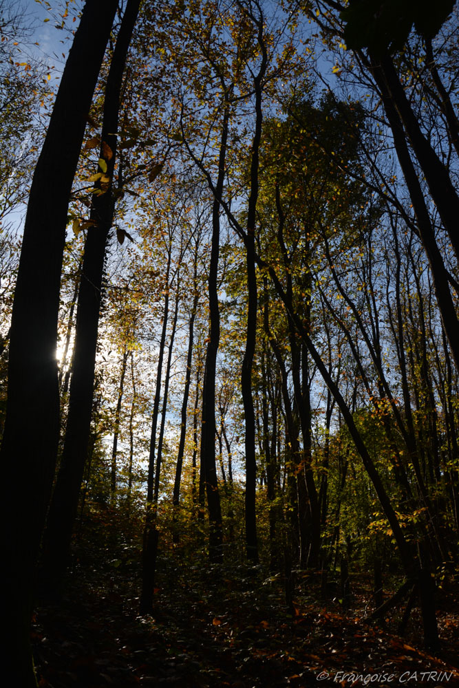 DSC_0042
