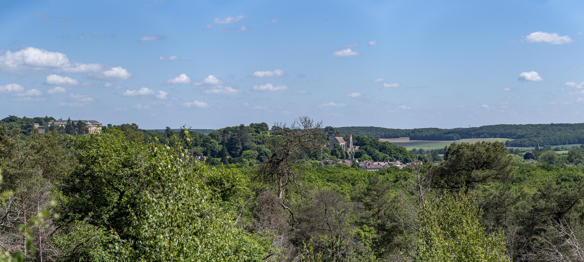 Dsc0649 panorama