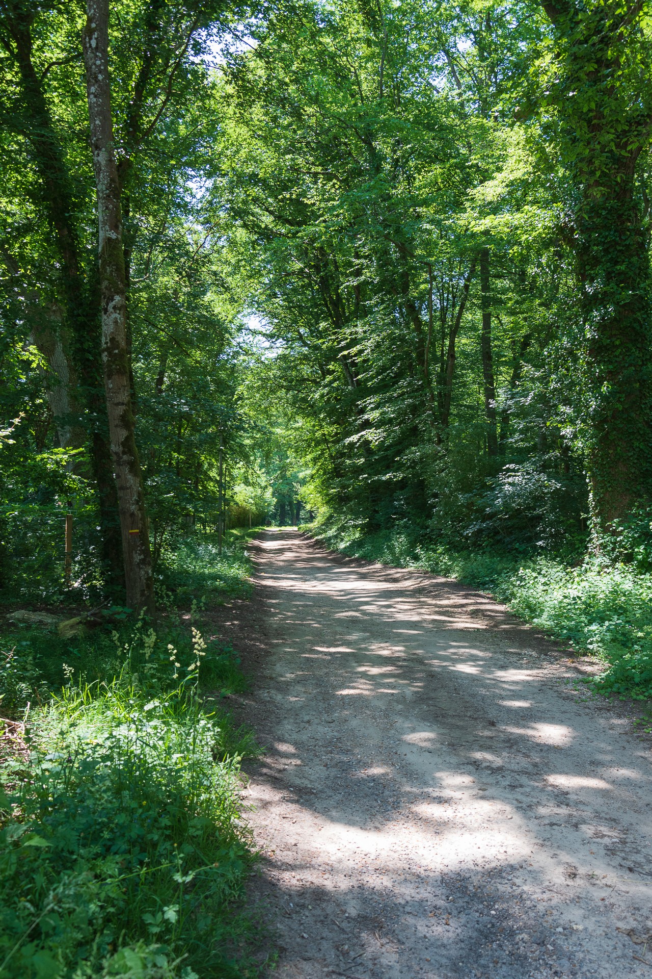 Petite Marche à l'Abbaye de l'Ouye