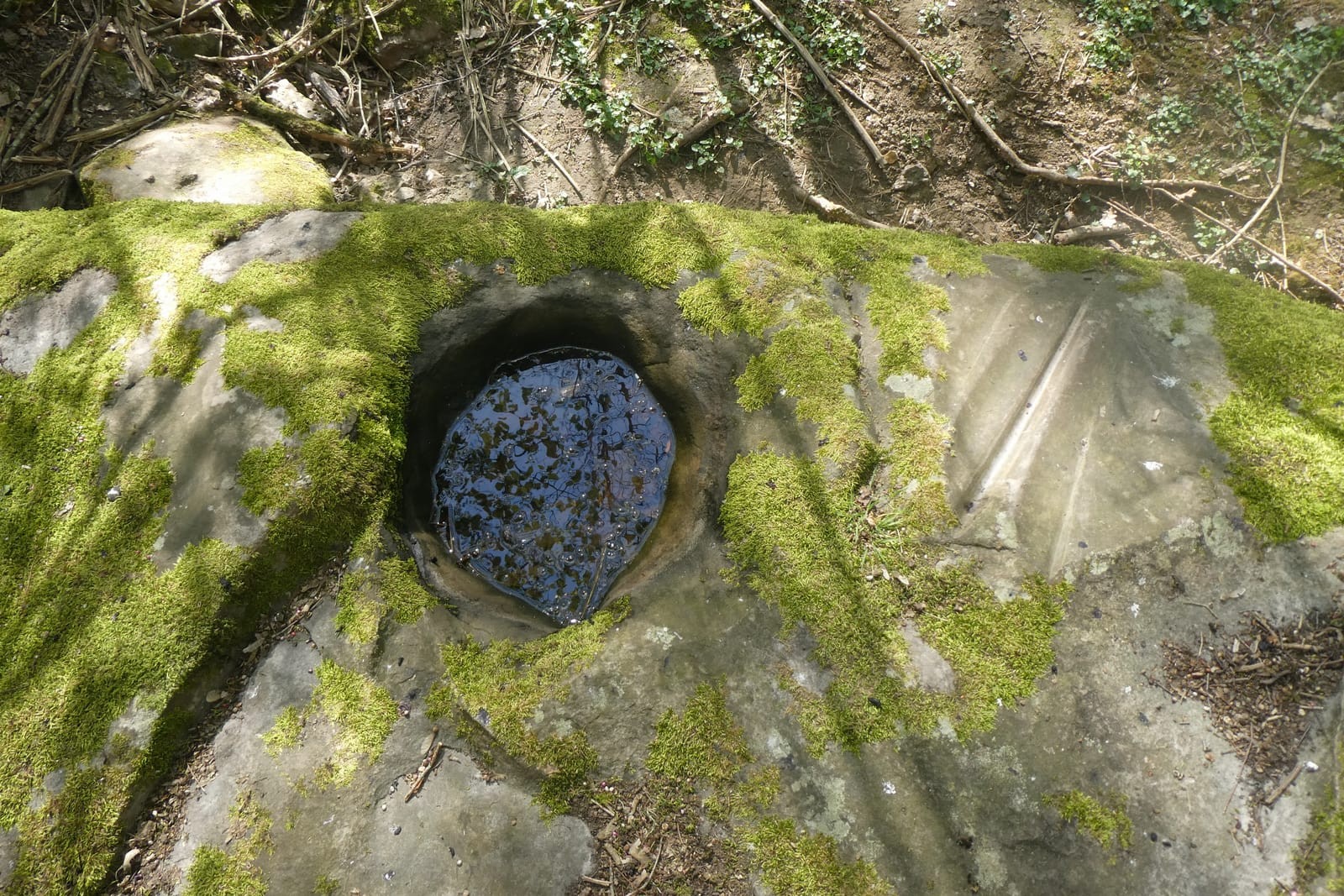 Petite Marche à Souzy 08042021