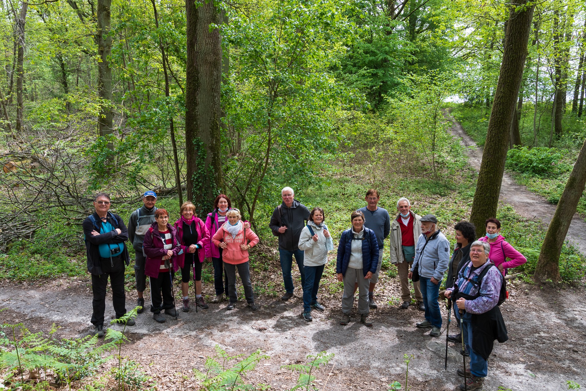 La foret de la roche turpin 4 