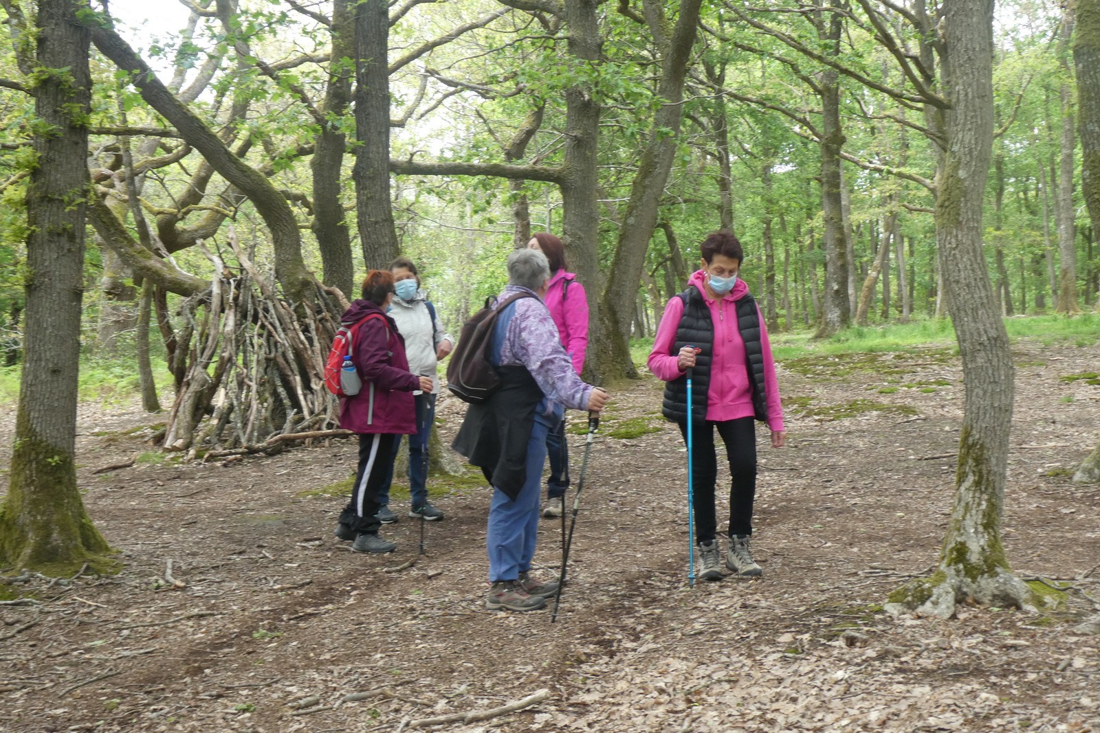 La foret de la roche turpin 9 