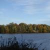 08112018 - 1 (20)