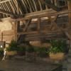 Clos vougeot 09 2021 7 