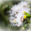 DSC_0004 (2)
