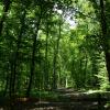 DSC_0045 (2)