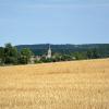DSC_0050 (3)