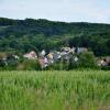 DSC_0057 (3)