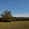 DSC_0059 (2)
