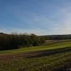 DSC_0060 (2)