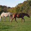 DSC_0066 (2)