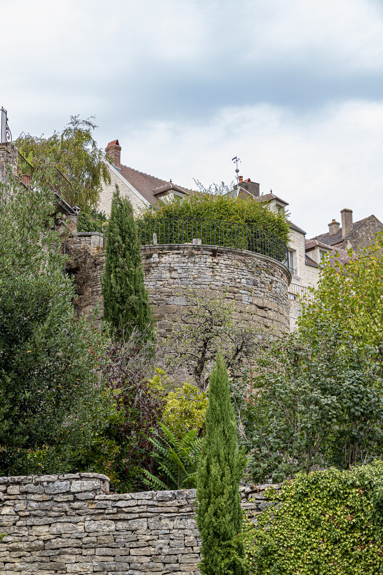 Dsc2965