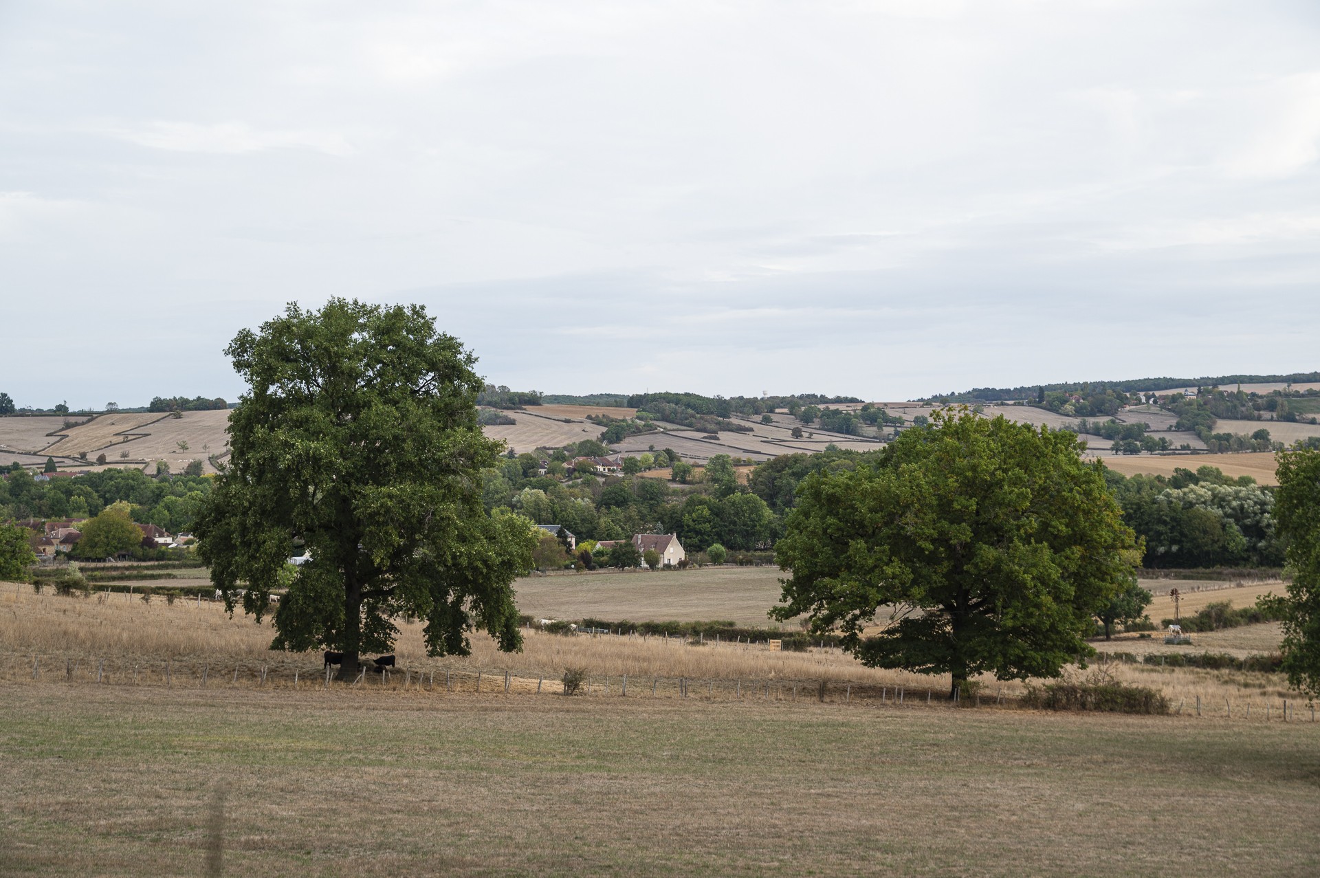 RANDO VAULT DE LIGNY