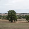 Dsc3036