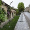 Dsc3061