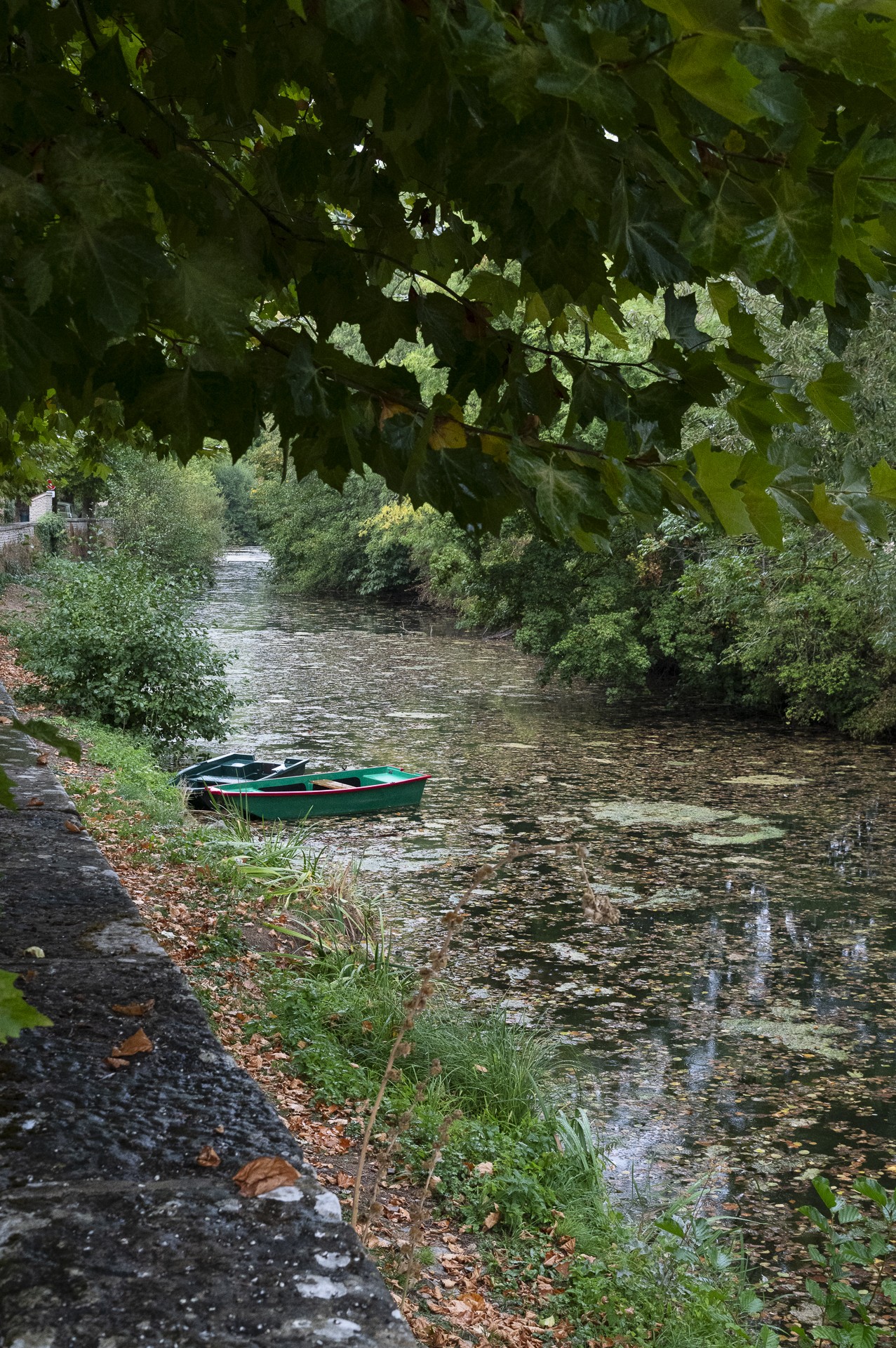 Dsc3071