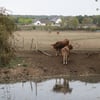 Dsc3077