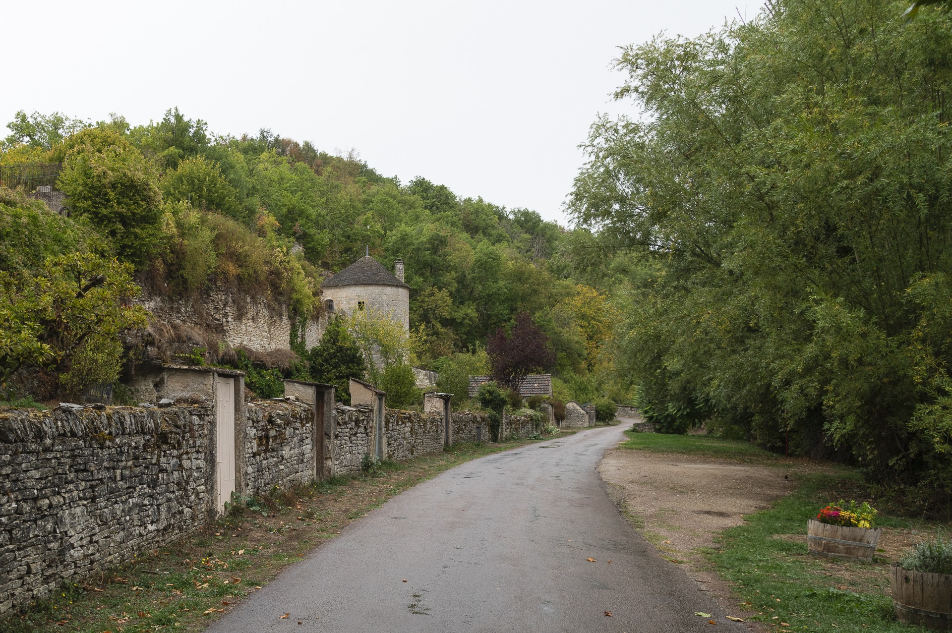 Dsc3080