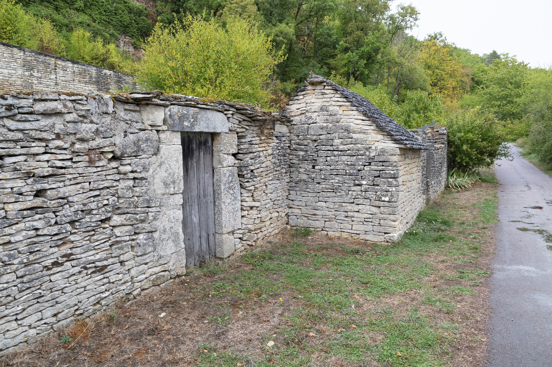 Dsc3084