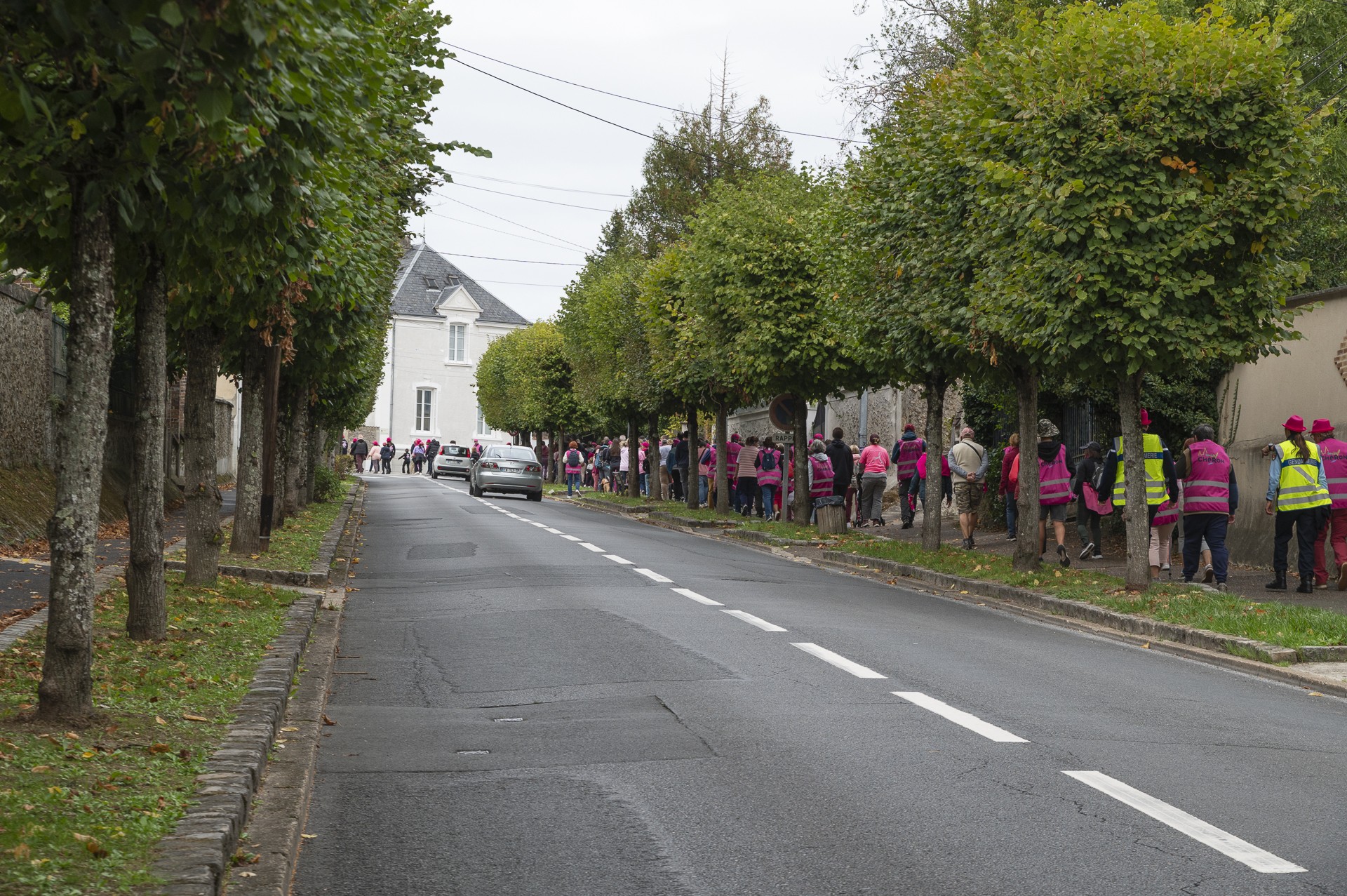 Dsc3175