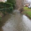 Marche mensuelle 09 03 2023 10 