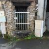 Marche mensuelle 09 03 2023 13 