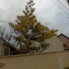 Marche mensuelle 09 03 2023 16 