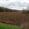 Marche mensuelle 09 03 2023 20 
