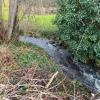 Marche mensuelle 09 03 2023 9 